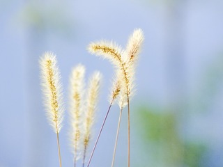 12091