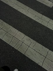 3579763