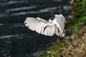 953
