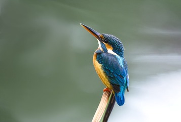 55125