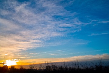 SDIM0684