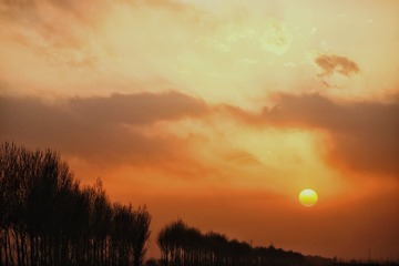 99CF4311-4F74-4583-BE61-1E61CD02F8F4/L0/001