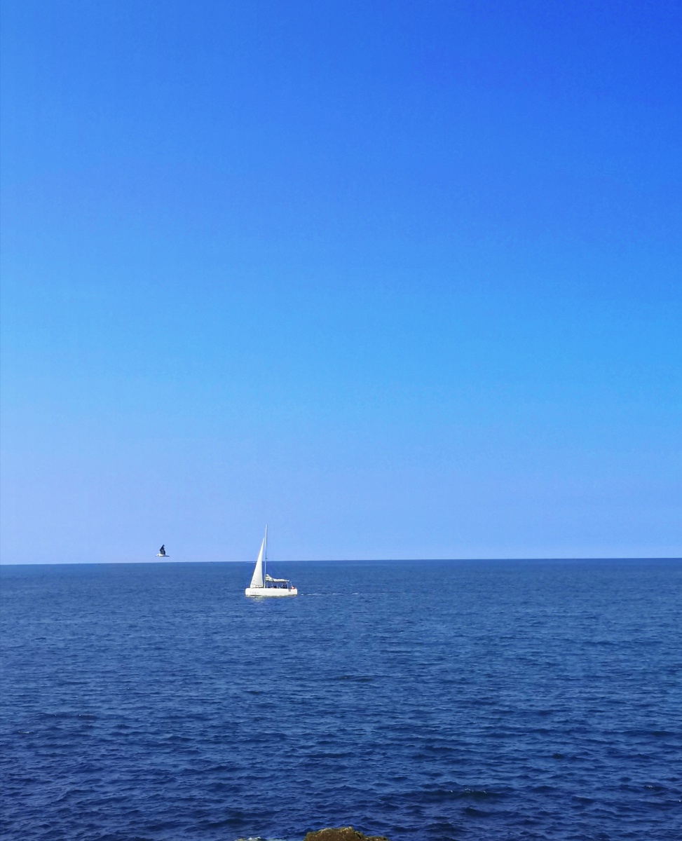 海天一线一鸥一帆