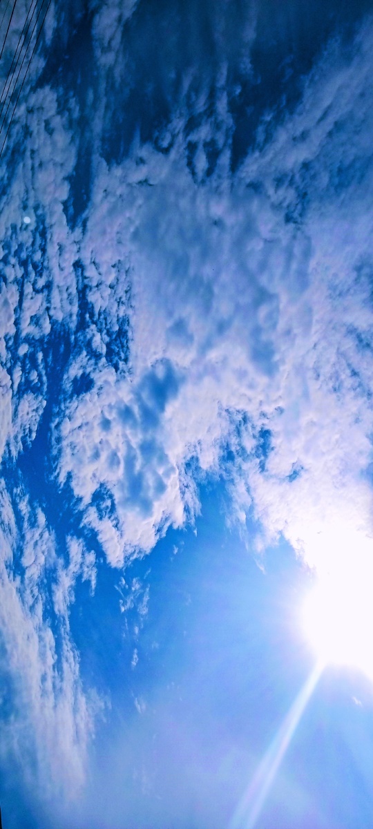 天空是蔚蓝色接下一句