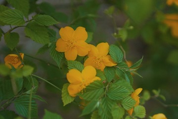 13E4CB23-F2D1-4EBF-884C-3B7CE23EE9CA/L0/001