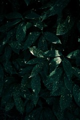 109901