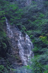 778BE478-30CD-4A7A-B57A-9E6257EF01AB/L0/001