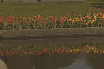Optional("E659E973-AEEF-4D4C-A23F-CA2BC73CB108/L0/001")