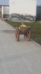 187995