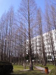 QQ图片20170309203803