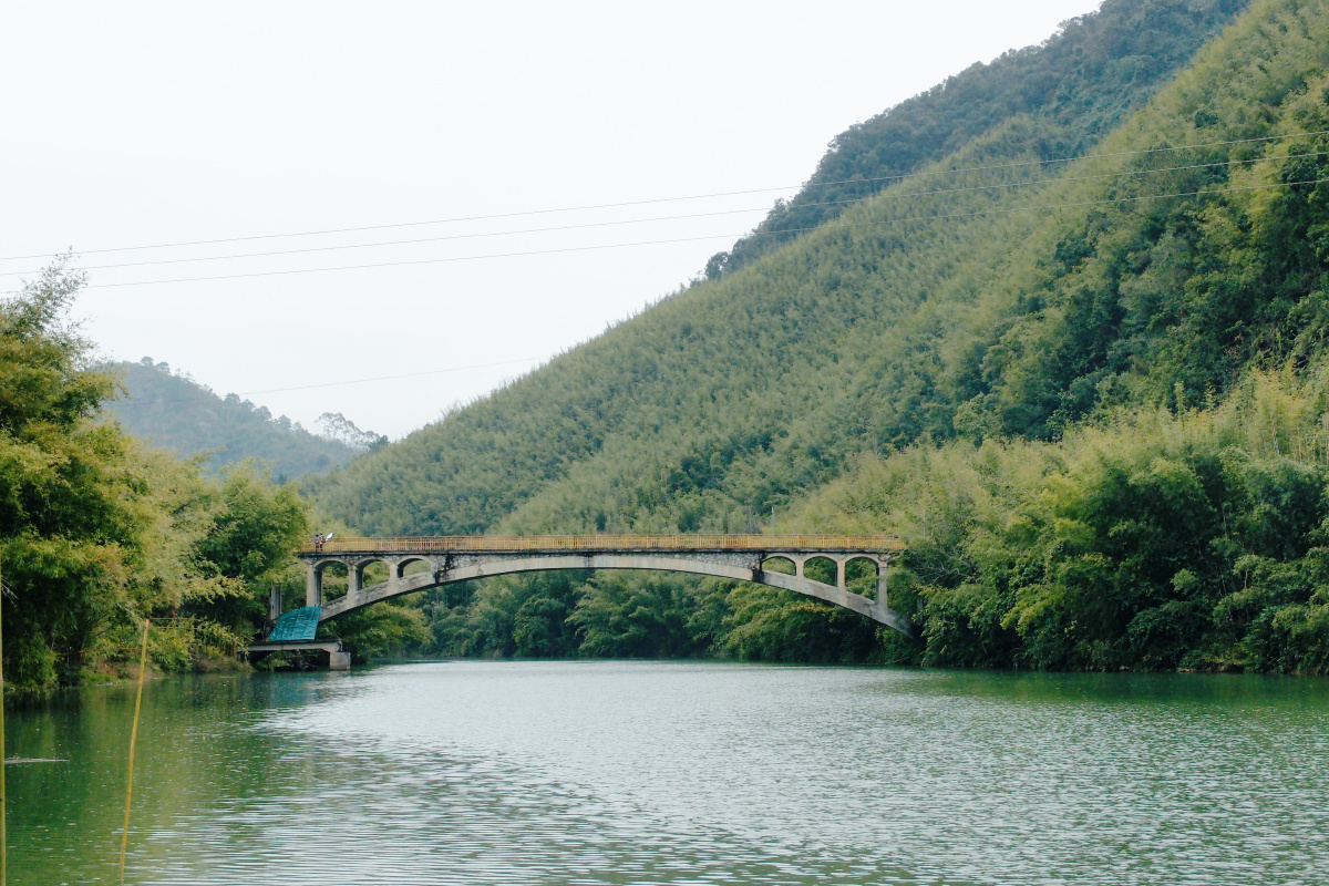 广宁古水河郊野径徒步竹海穿行沿着古水河一路经过村落竹海田地郊野