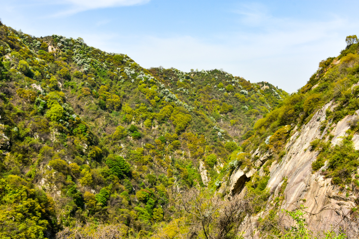 秦岭黄峪沟