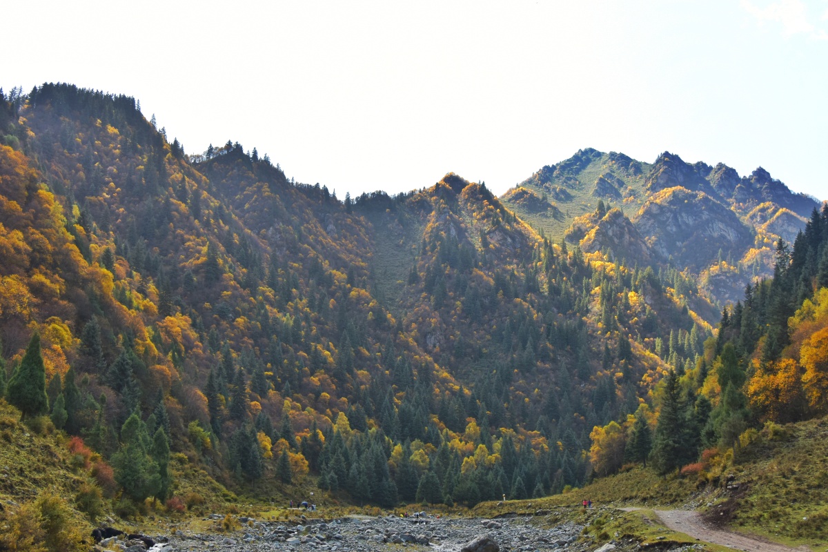 青海门源仙米林场聚阳沟景区浓郁的藏传佛教文化与秋景相得益彰森林层