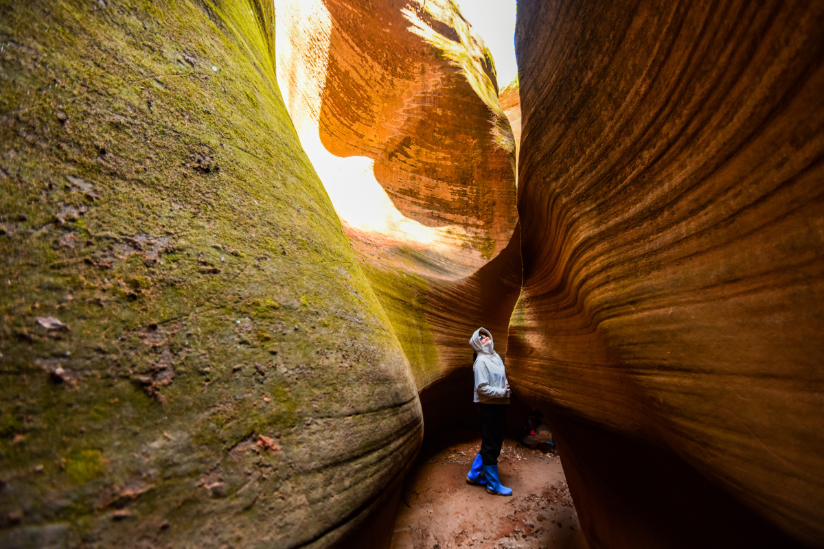「#峡谷」 「#猫巷大峡谷」「#丹霞地貌」陕北志丹县黄土高原上一个