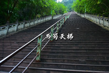 3909D8AB-0492-4D08-8C29-652E1D970F9F/L0/001