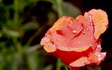 9E311781-8DB2-4CC6-BF3D-61F61D174848/L0/001