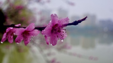 E42984F8-D400-4210-A0B8-1F5E8F307C62/L0/001