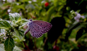 39CFE9CB-D5D7-4C06-A92F-1782BD4242D2/L0/001