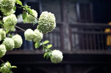 9F96D2B8-C57E-4430-A676-15FB3D27F414/L0/001