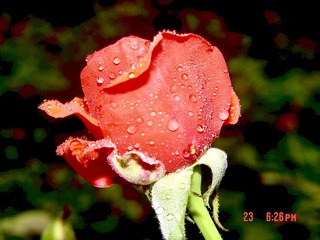 0ADEFAAE-F32D-4F7E-901B-F03CB3182CDC/L0/001