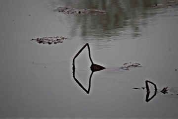 981192F1-050F-4714-9FAE-231599EFCFDD/L0/001