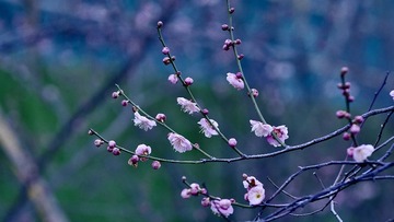 97B5DB48-B961-47FC-A263-B2107F5B0695/L0/001