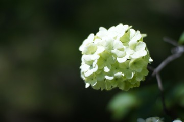 2947E506-5A8A-420A-9E2F-142F8144B18A/L0/001