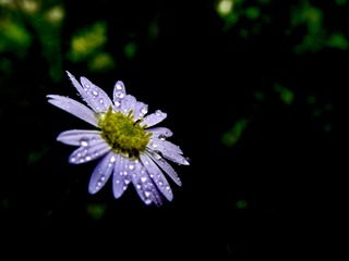 00B1C131-3CCD-4DF2-9072-2C2CE8A6169B/L0/001