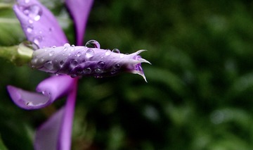 C5C68AB9-73F3-4CCD-B8E0-E6CAA4C68B02/L0/001