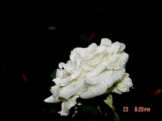 3CC303F5-136C-4432-A31B-A16B579507C0/L0/001