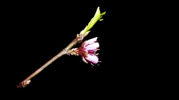 339FCC3A-F4E1-44D9-BD92-E53207F21320/L0/001