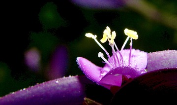 69F980C7-6C03-4E15-BBB3-FC330A807162/L0/001