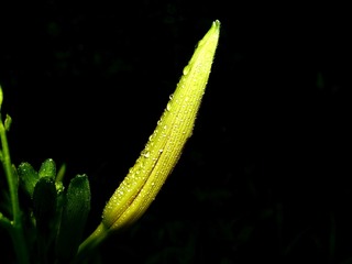 66D703C8-70A8-4D75-84C9-41FDCA90F7AC/L0/001
