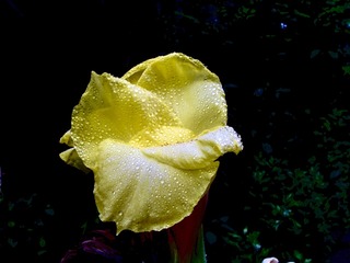 DBD8D76D-C0B4-41FC-89BA-F512D6F1BC31/L0/001