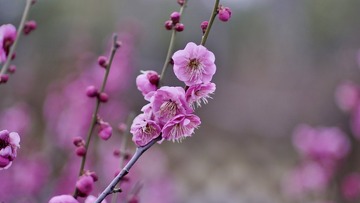 D571A028-7392-4A43-8586-F8E08CF37CD1/L0/001