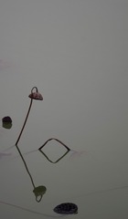 84892B01-A849-4FCB-A187-CF52EBCCEFF2/L0/001