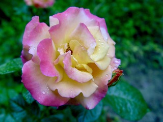 E9676F5F-EA42-4B37-9276-912717DFCF58/L0/001