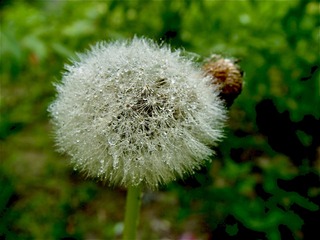 48B05043-6CF7-41C7-93EF-E61E82E6C196/L0/001