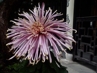05D59239-5CDE-40A3-A954-66594A58E8D4/L0/001