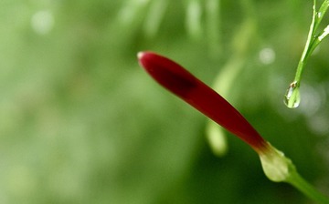 00029583-5E06-4A3D-9733-FCA74388EDEC/L0/001