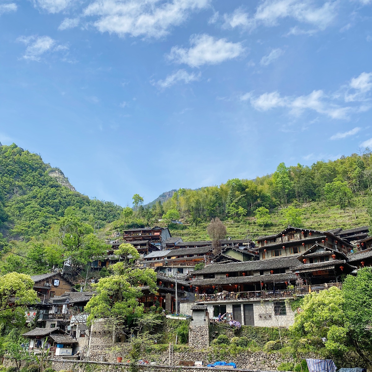岭上人家烤全羊山好水好空气好可以一家人去吃烤全羊享受周边风景