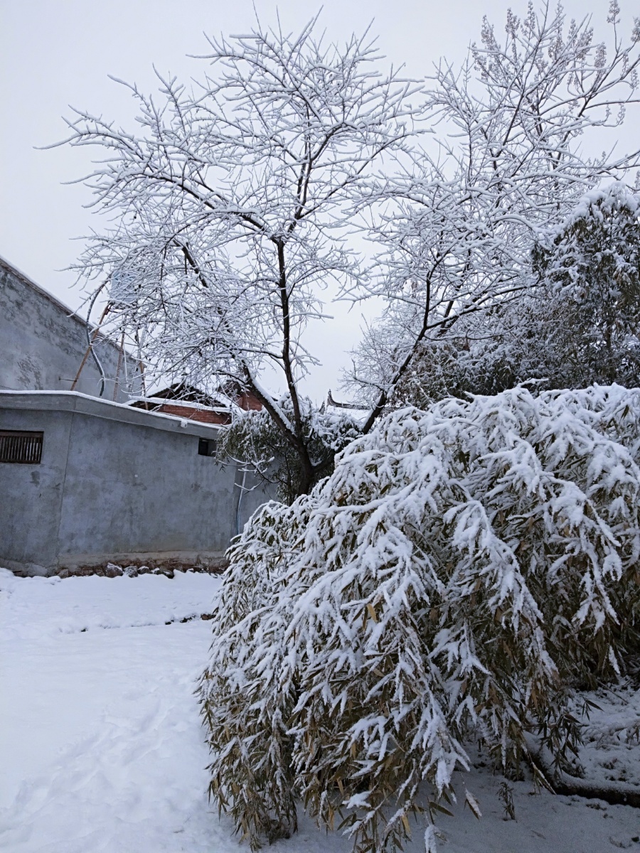 那一年回家过年下雪了很美很美