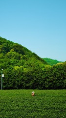 18F9ABBD-3D03-4062-B786-23B9B1FE72F0/L0/001
