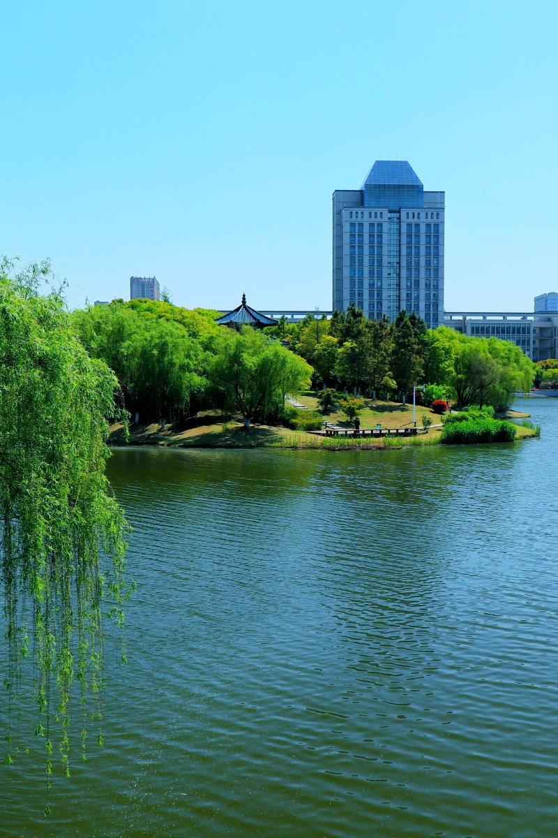 江南学府江南大学印象