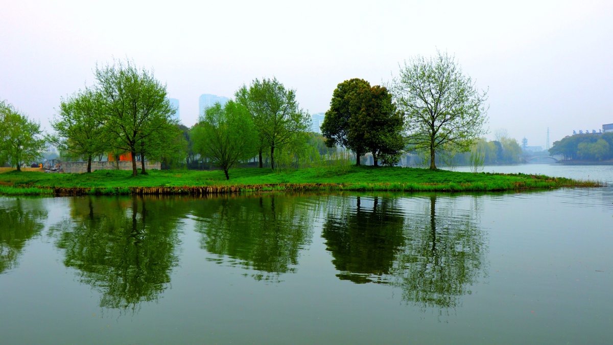 春风又绿江南岸