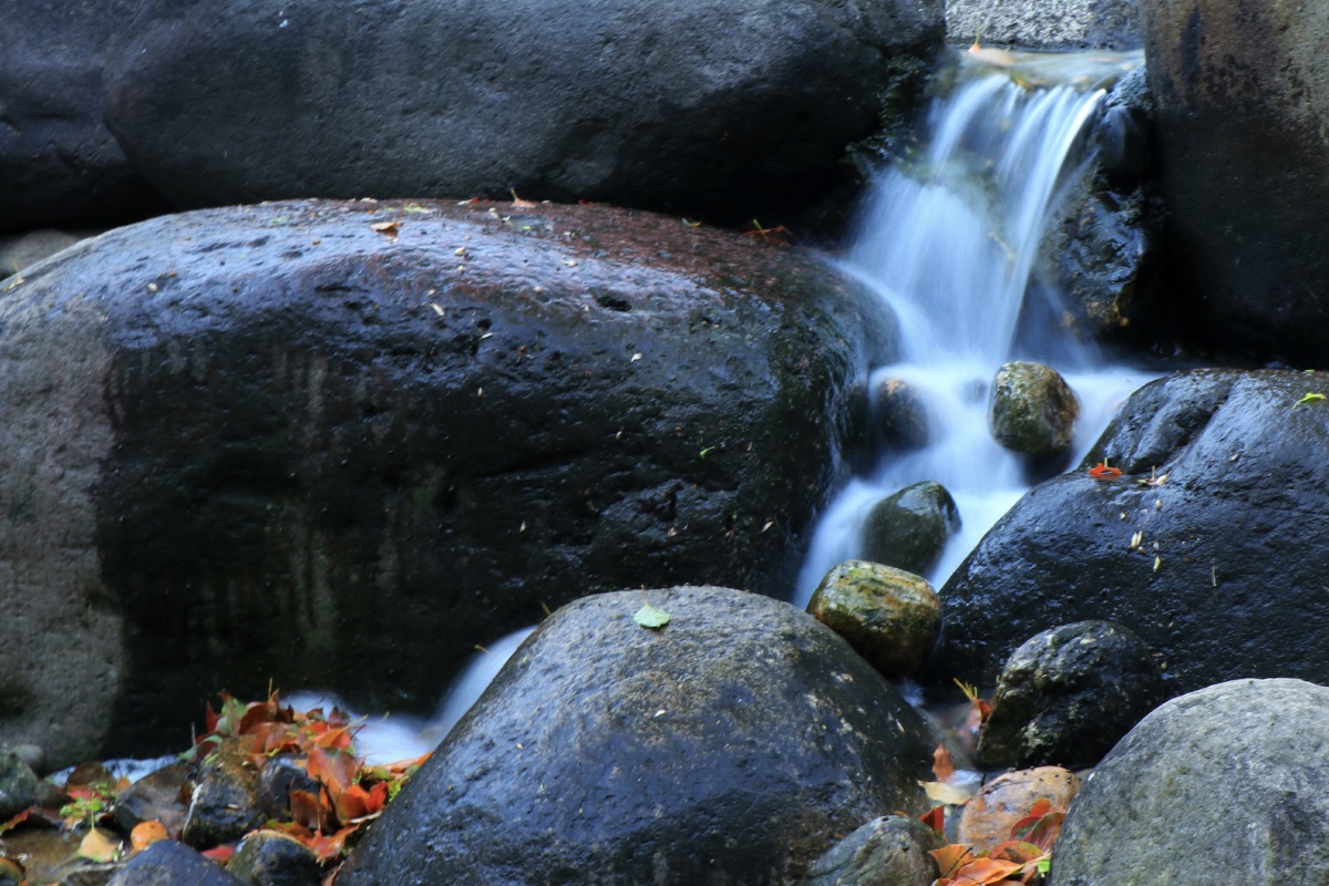梅园印象·手持拍摄山泉 - 摄影师哄哄 - 图虫