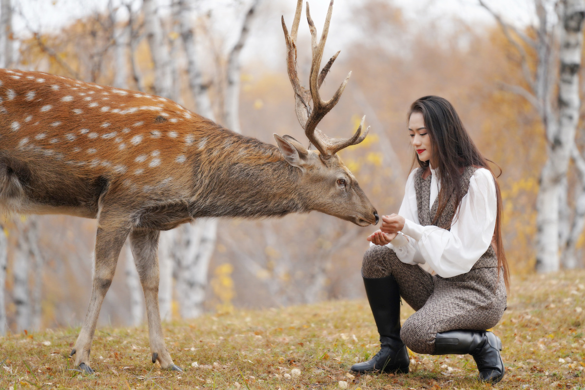 秋色伊人—喂鹿
