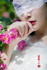 DGK_9501