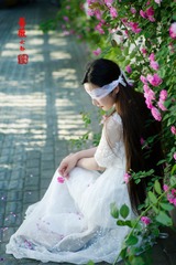 DGK_9631