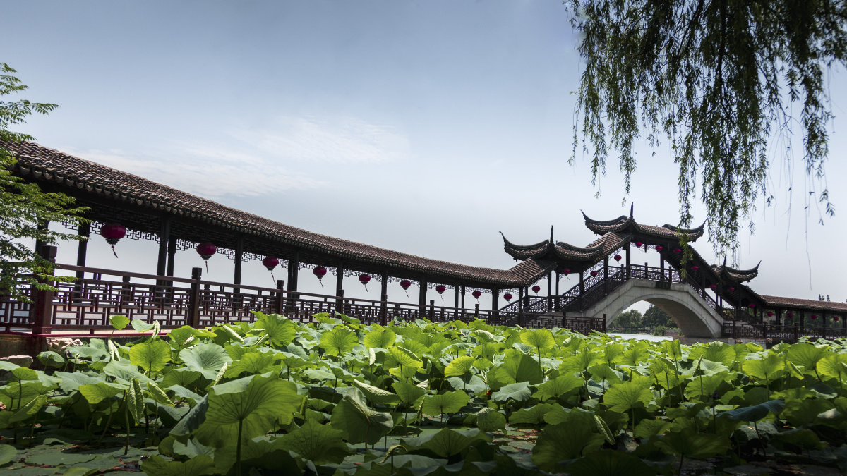 锦溪风光古莲桥